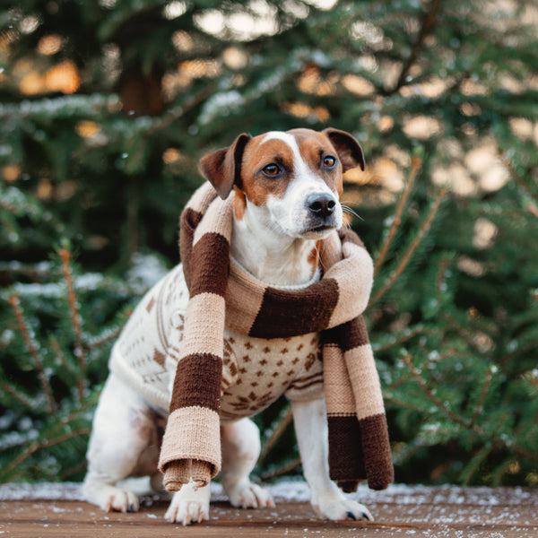 Dog and Cat Apparel