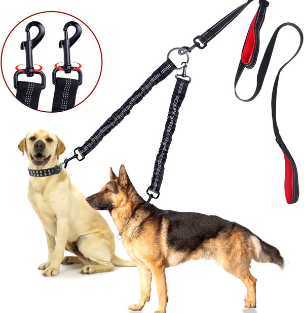 Double dog leash