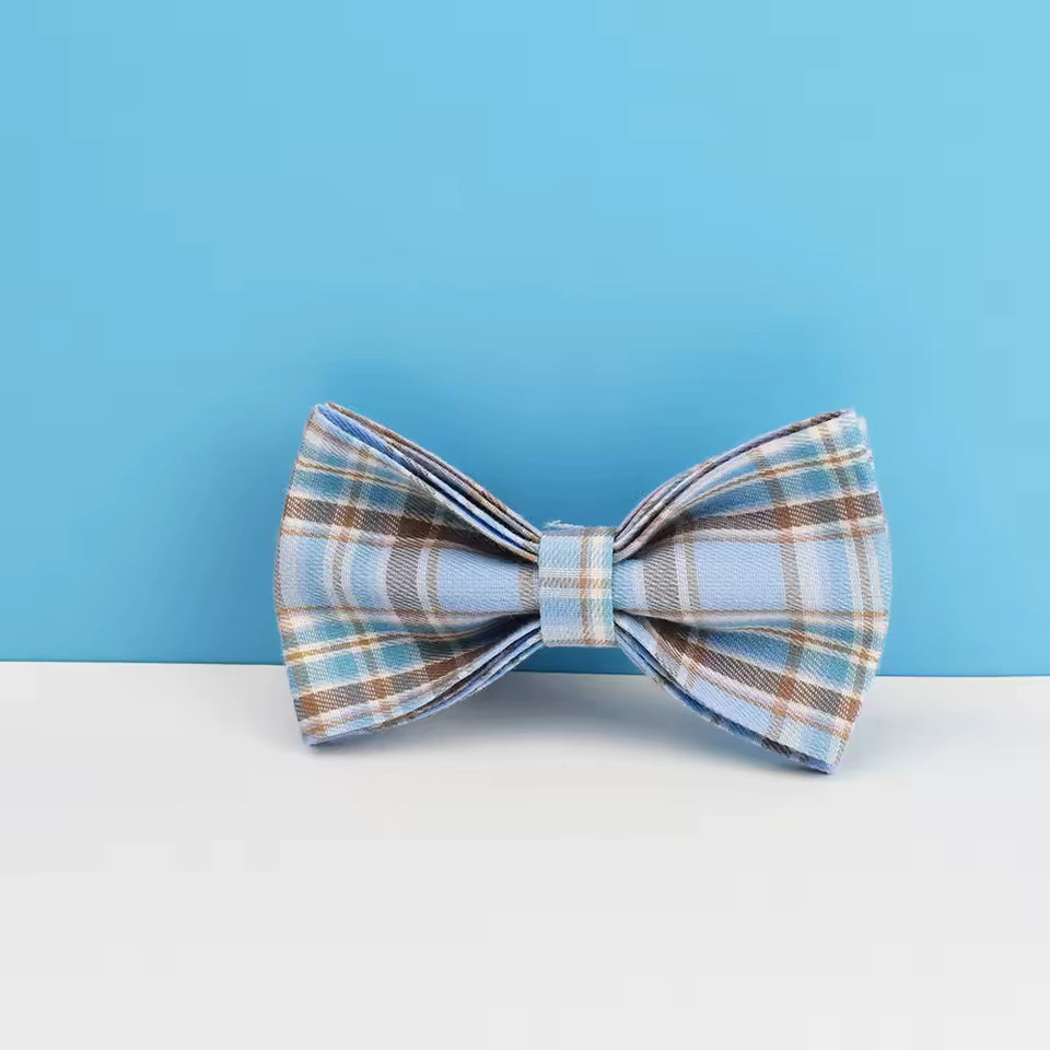 Blue Plaid Pet Collar & Leash Set