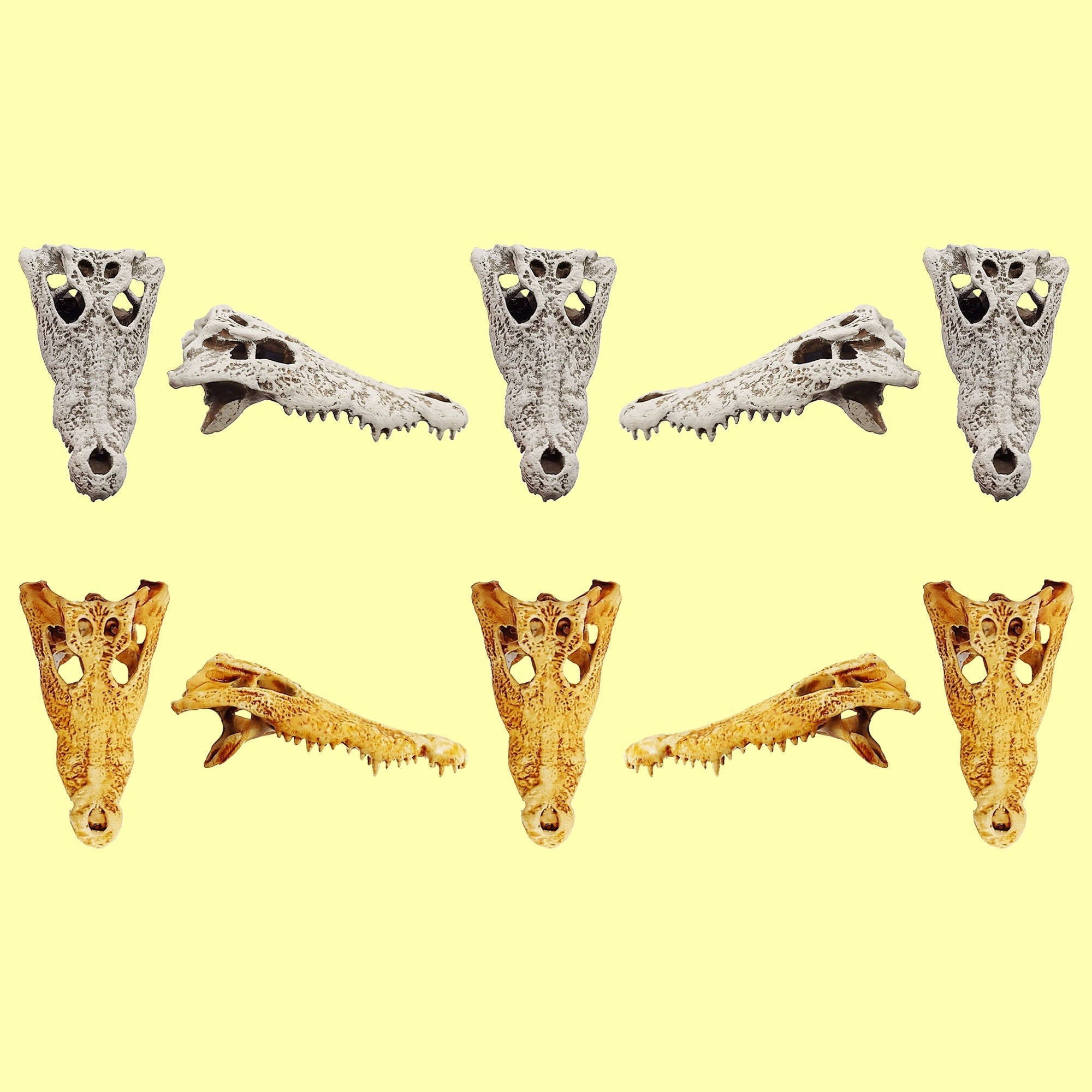 Field Bones Crocodile Skull 1:12 Scale Replica Set (5pcs)