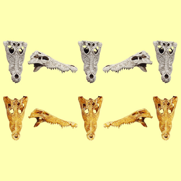 Field Bones Crocodile Skull 1:12 Scale Replica Set (5pcs)