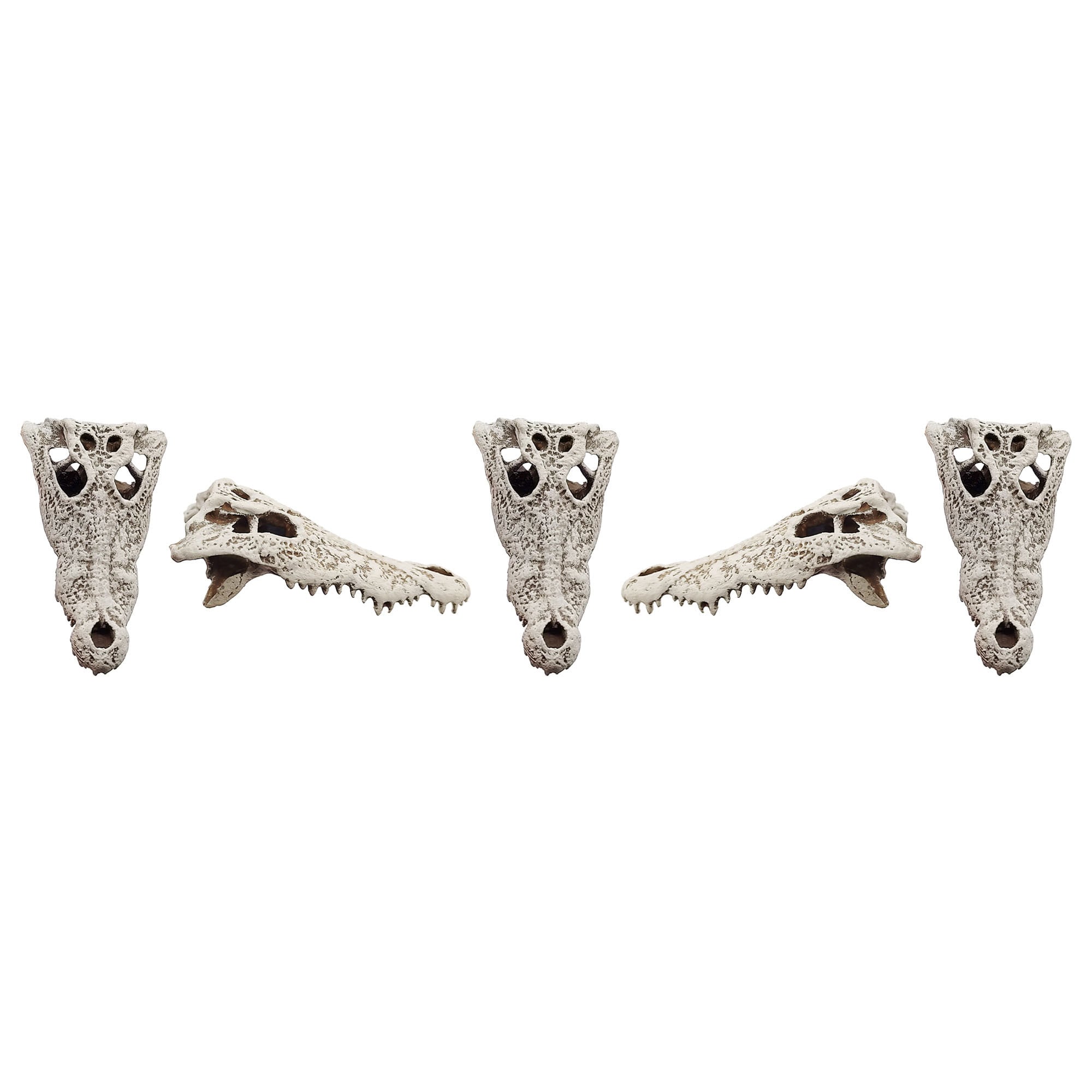Field Bones Crocodile Skull 1:12 Scale Replica Set (5pcs)