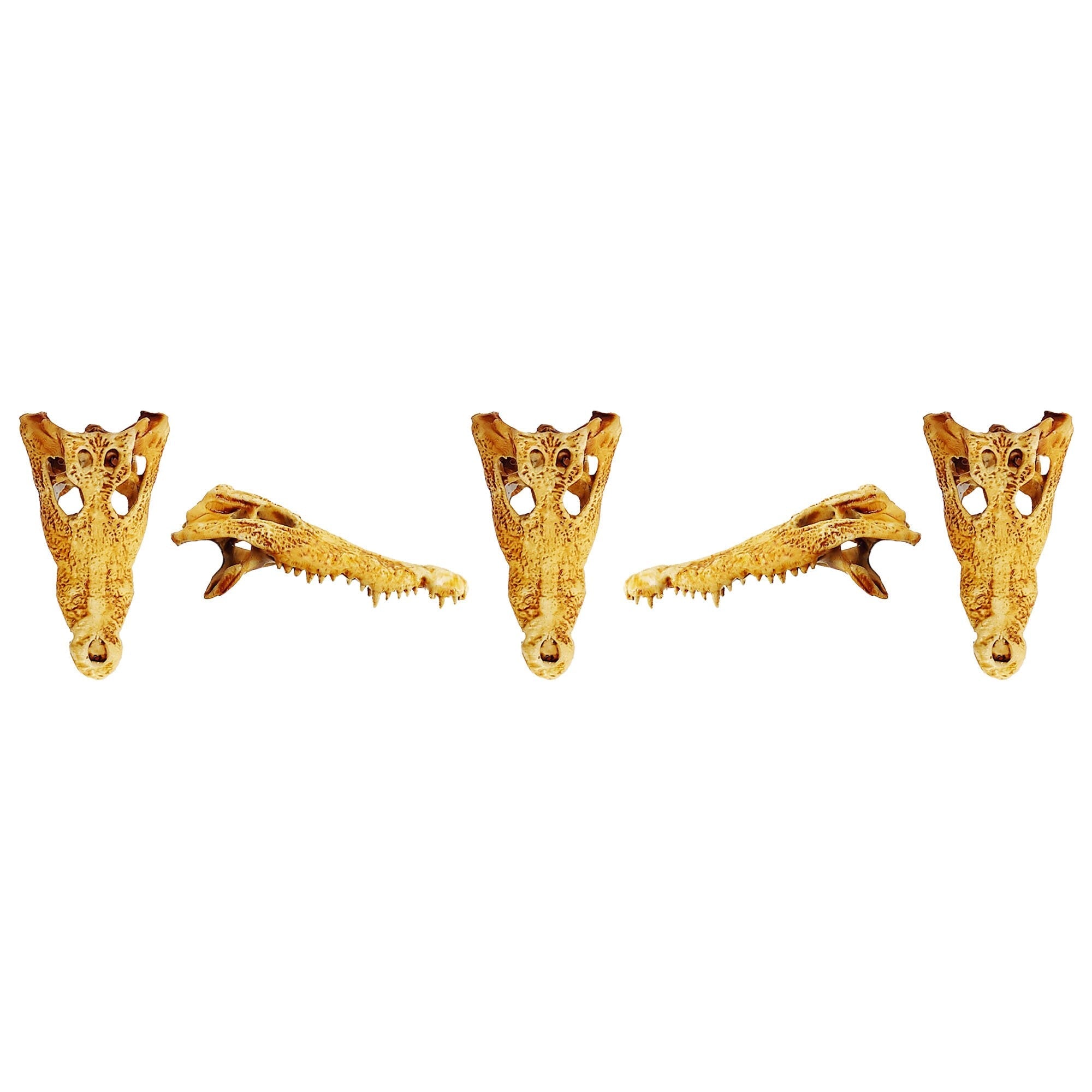 Field Bones Crocodile Skull 1:12 Scale Replica Set (5pcs)