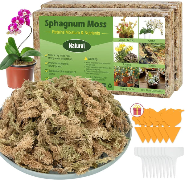 50QT Sphagnum Moss for Plants & Reptiles